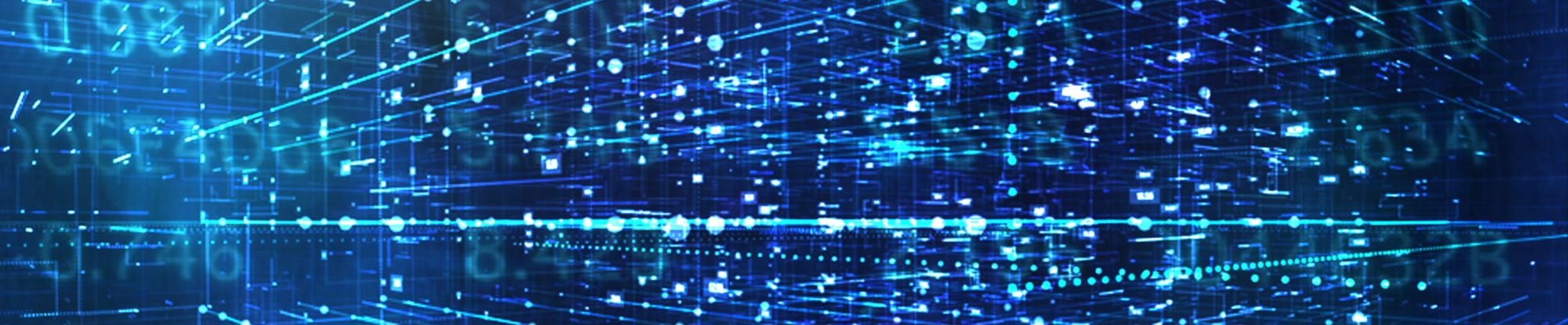 Digital Services